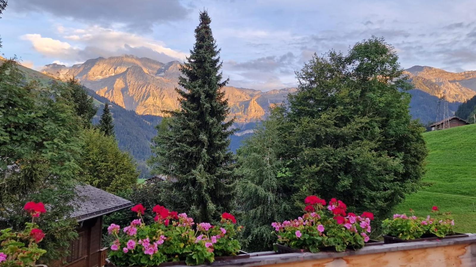 Large Deluxe Studio For 2 - Chalet Lovo Lenk Bagian luar foto