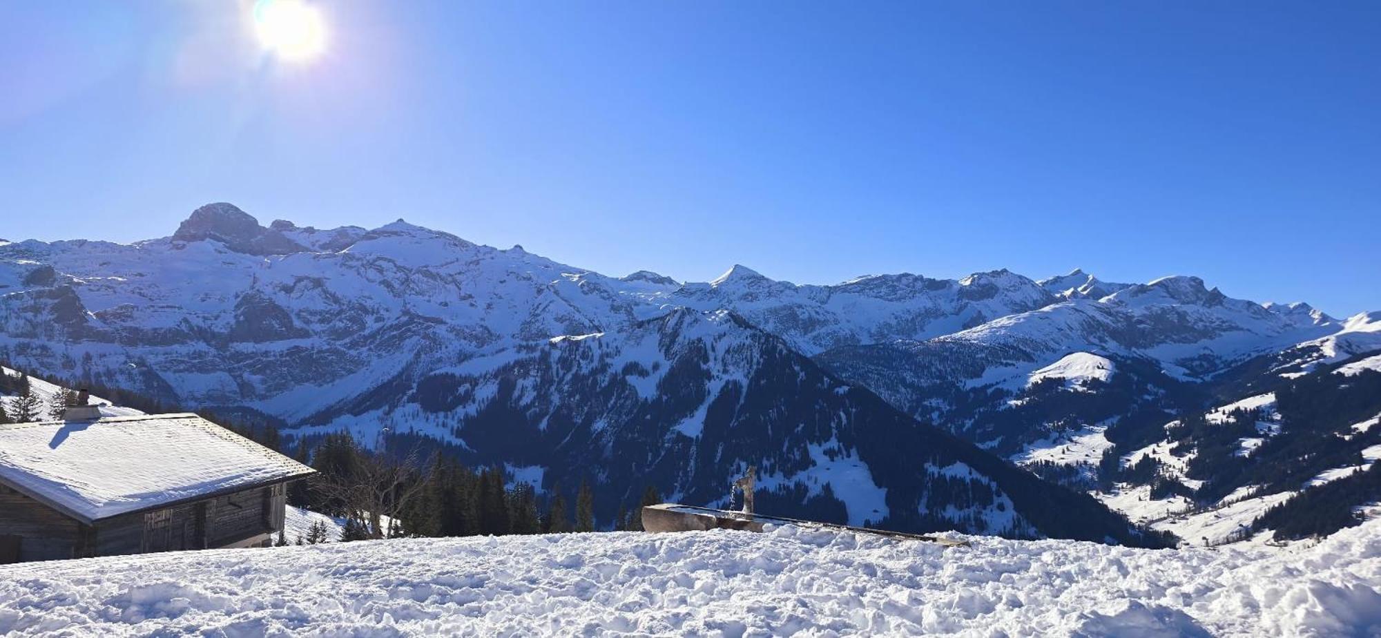 Large Deluxe Studio For 2 - Chalet Lovo Lenk Bagian luar foto