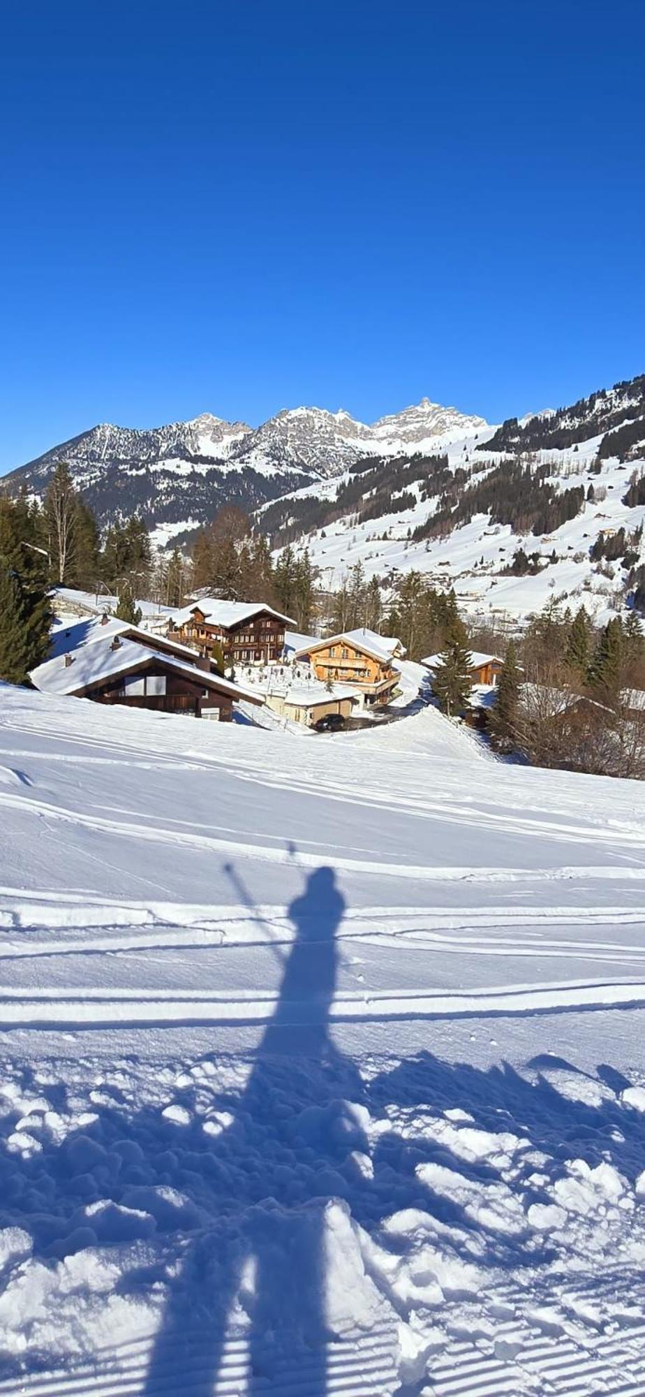 Large Deluxe Studio For 2 - Chalet Lovo Lenk Bagian luar foto