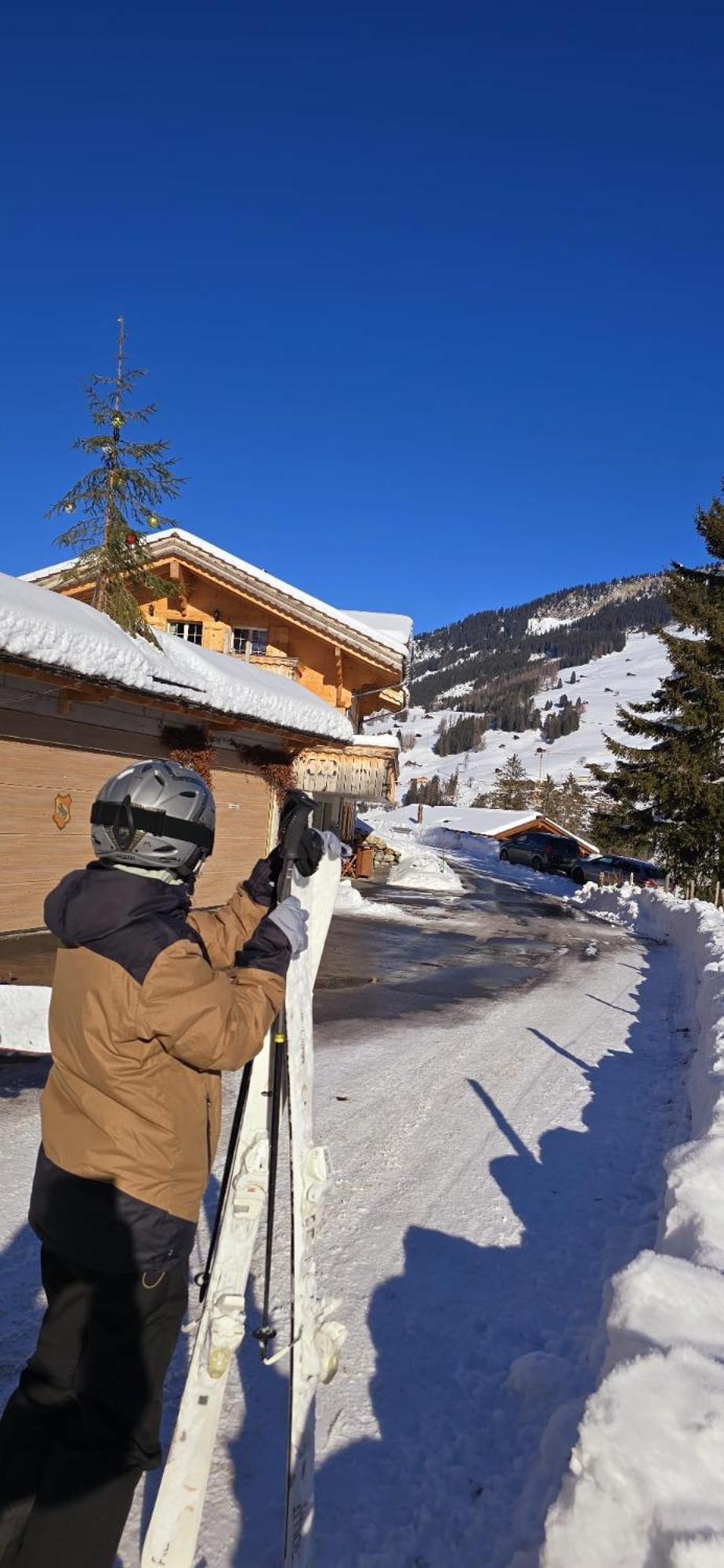 Large Deluxe Studio For 2 - Chalet Lovo Lenk Bagian luar foto